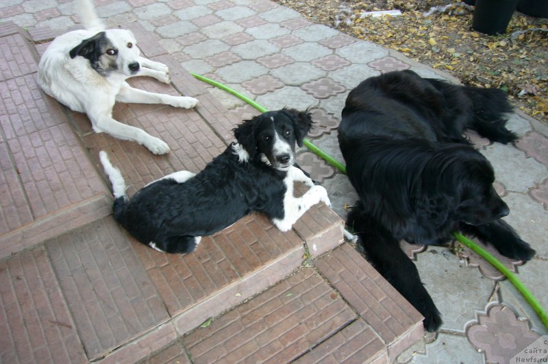 Фотография № 234213