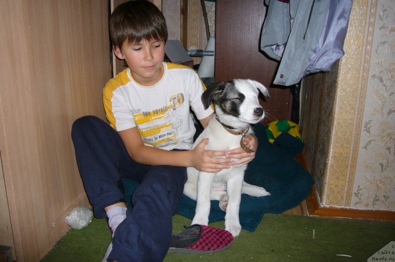 Фотография № 234214