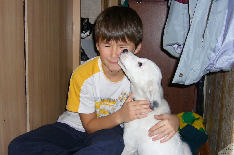 Фотография № 234216