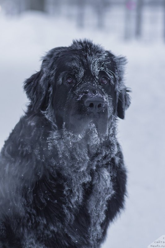 Фото: Вячеслав Криволуцкий