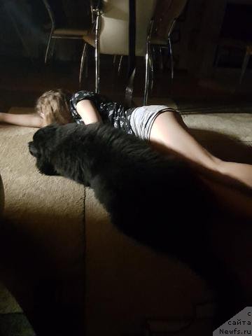 Фотография № 234235