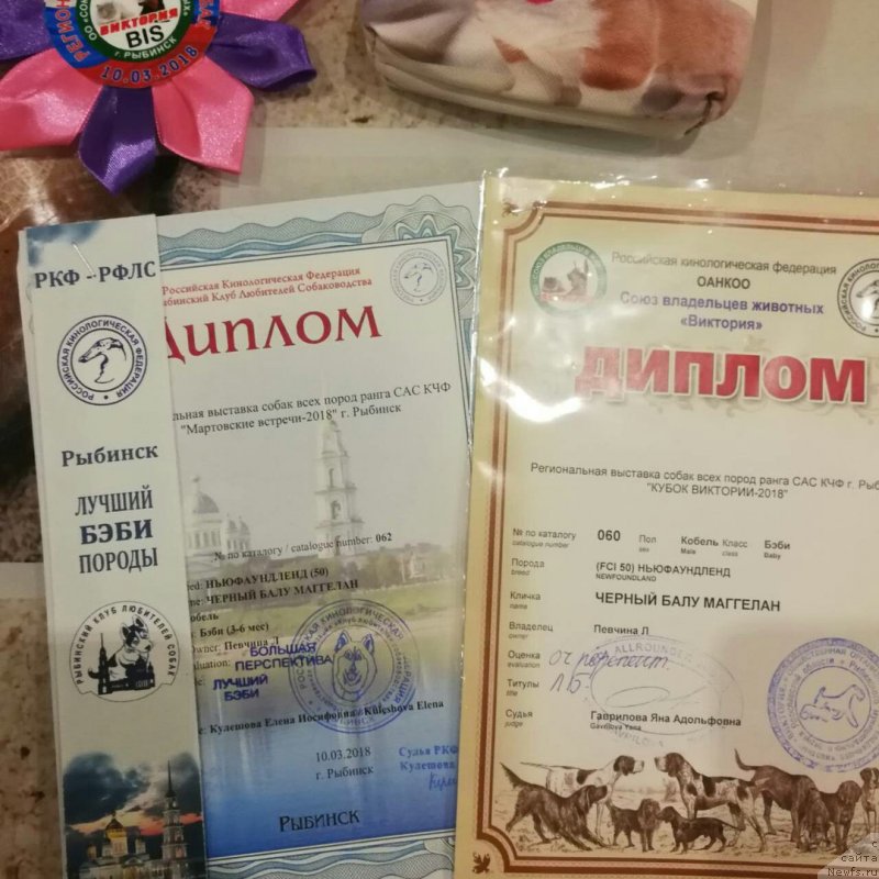 Фотография № 234253