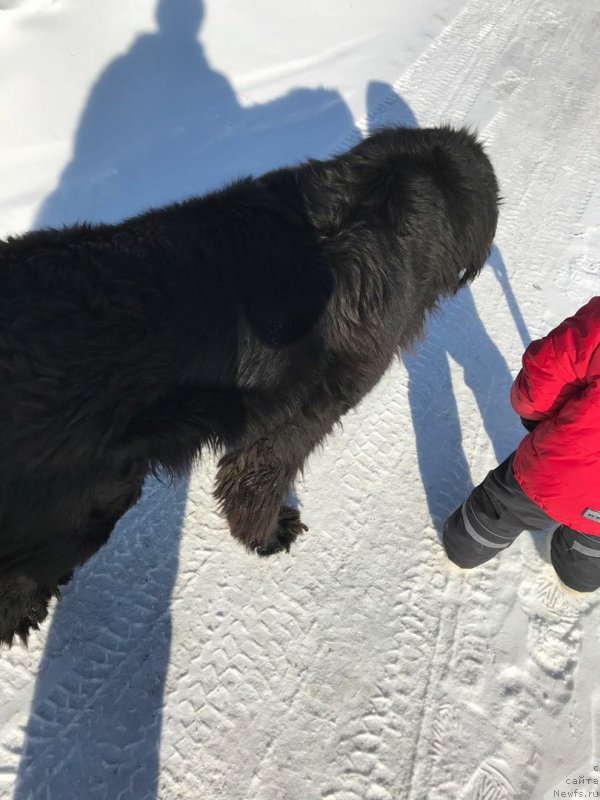 Фотография № 234267