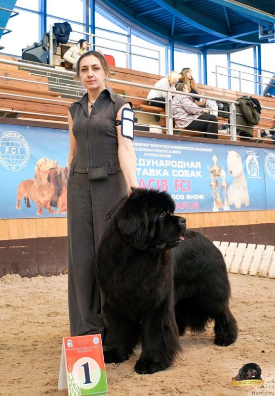 Фотография № 234273