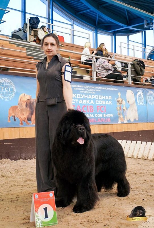 Фотография № 234274