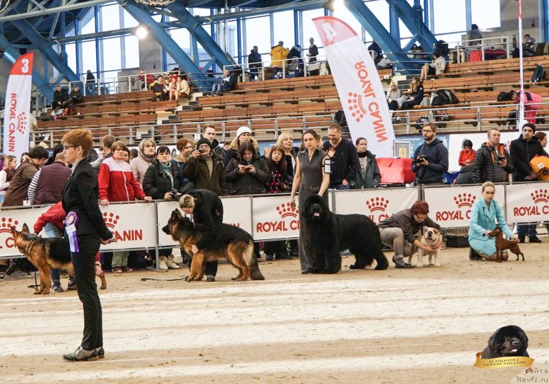 Фотография № 234275