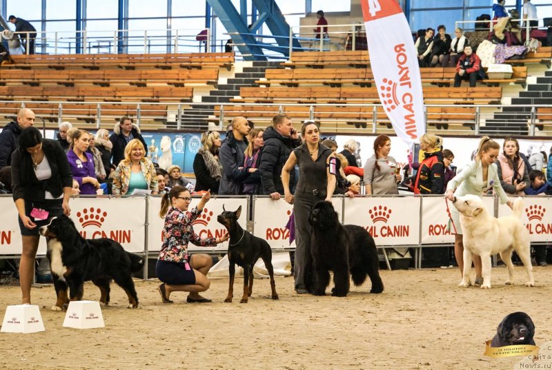 Фотография № 234281