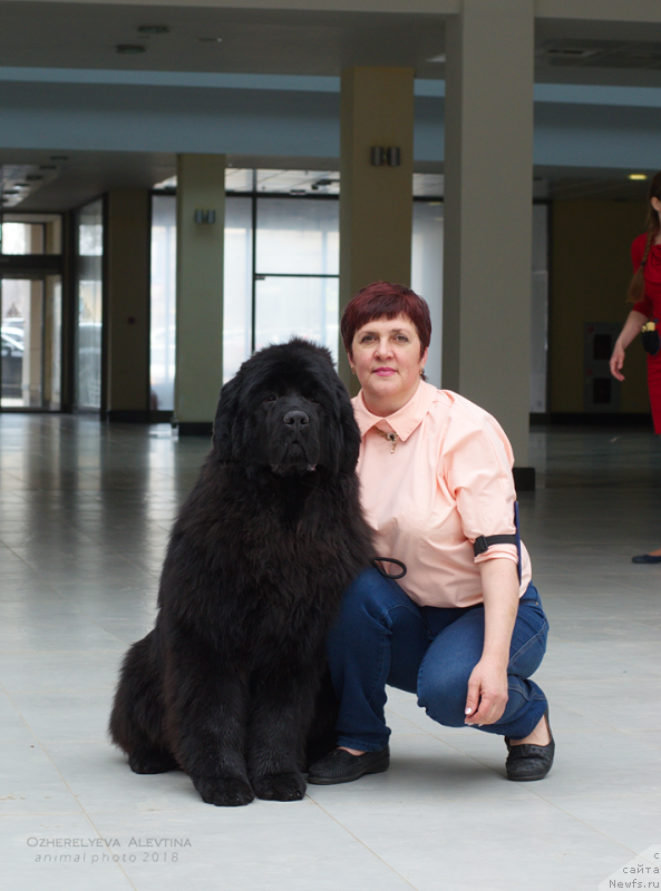 Фотография № 234283