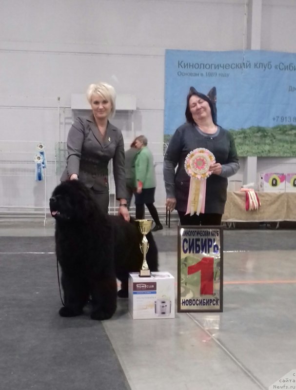 Фотография № 234363