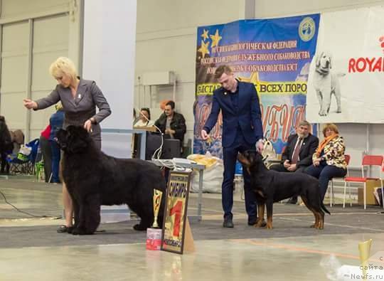 Фотография № 234364