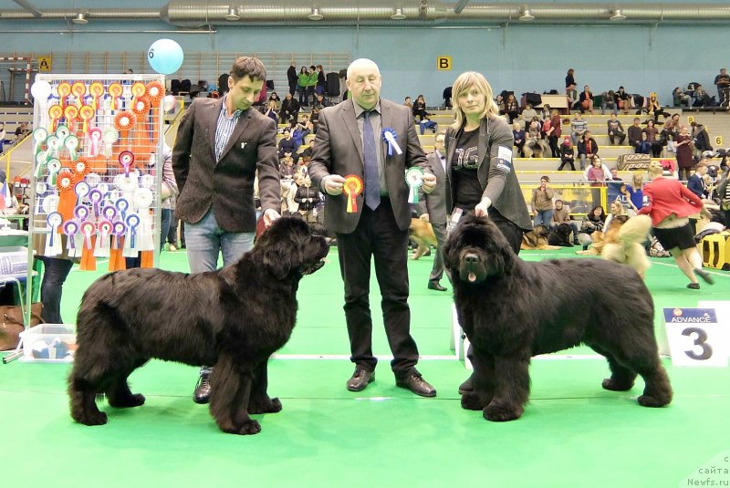 Фотография № 234389