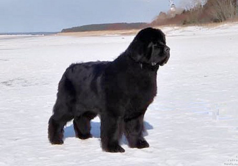 Фотография № 234392