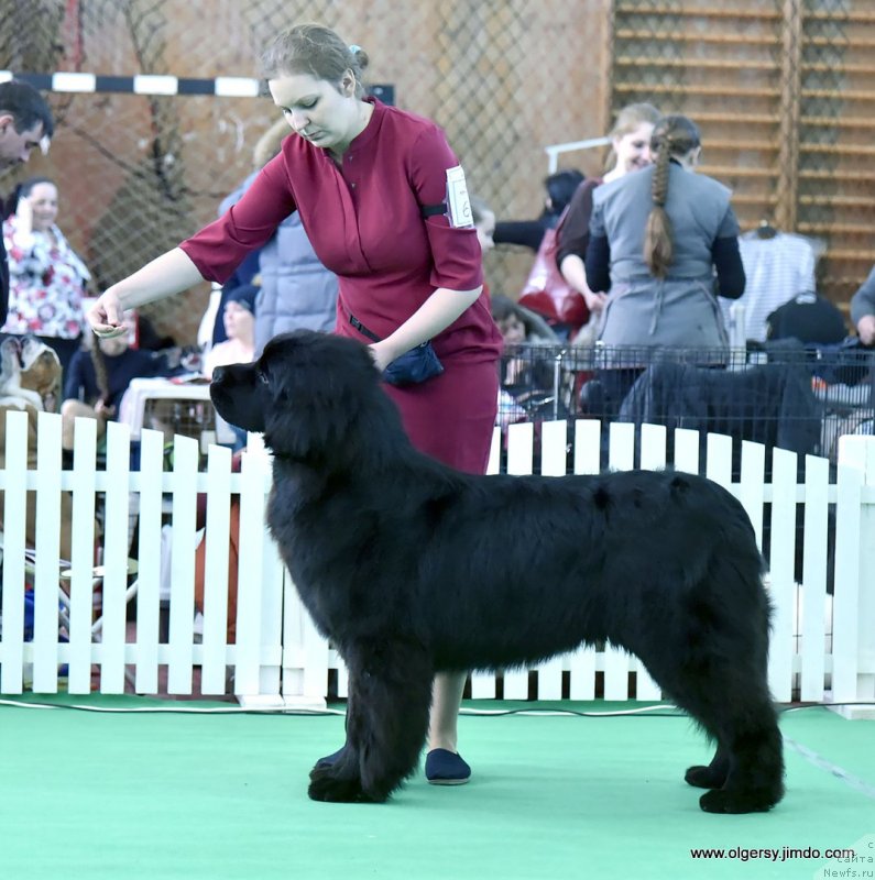 Фотография № 234469