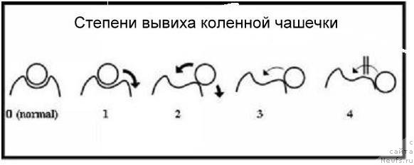 Фотография № 234492