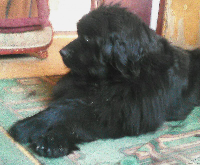 Фотография № 234499