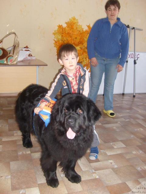 Фотография № 23450