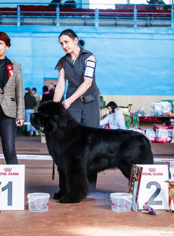 Фотография № 234503