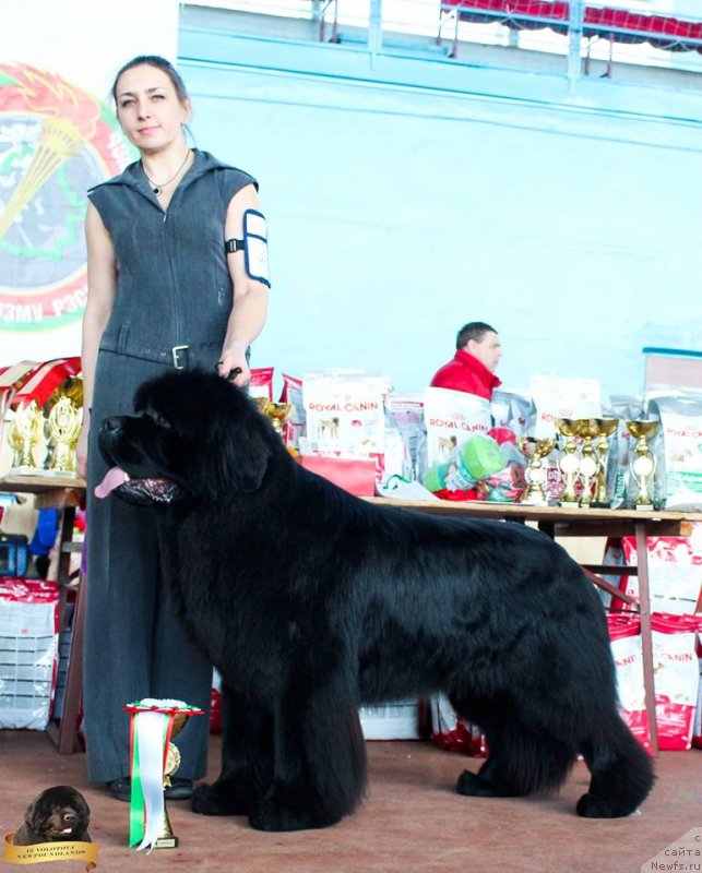 Фотография № 234505