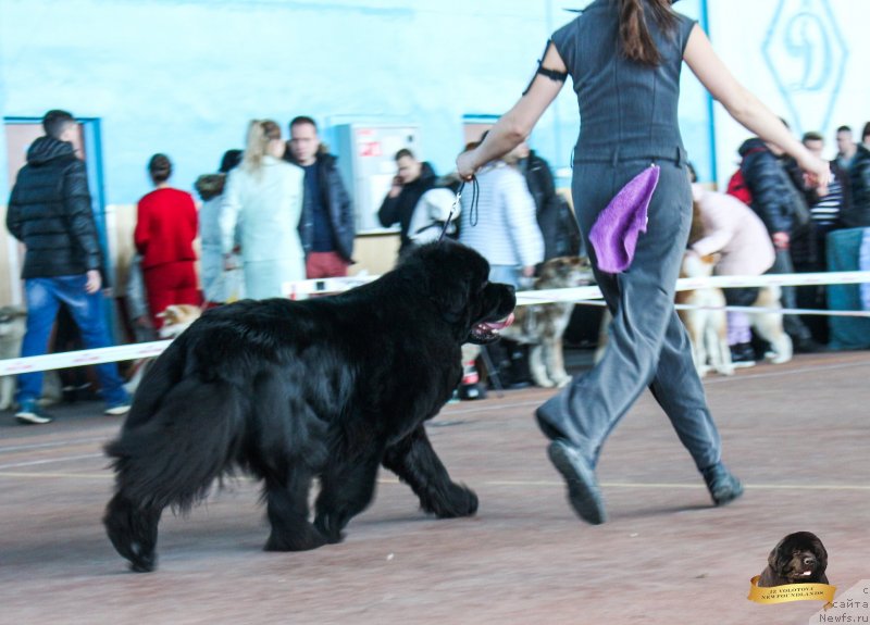 Фотография № 234506