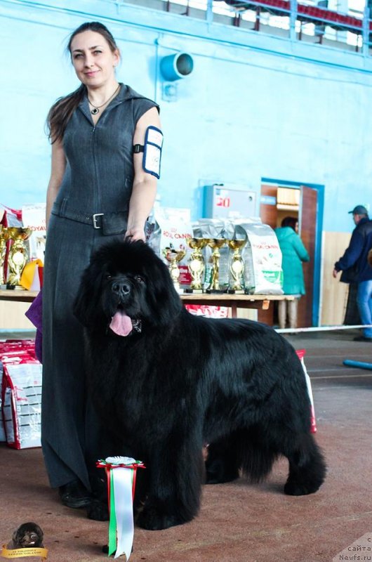 Фотография № 234507