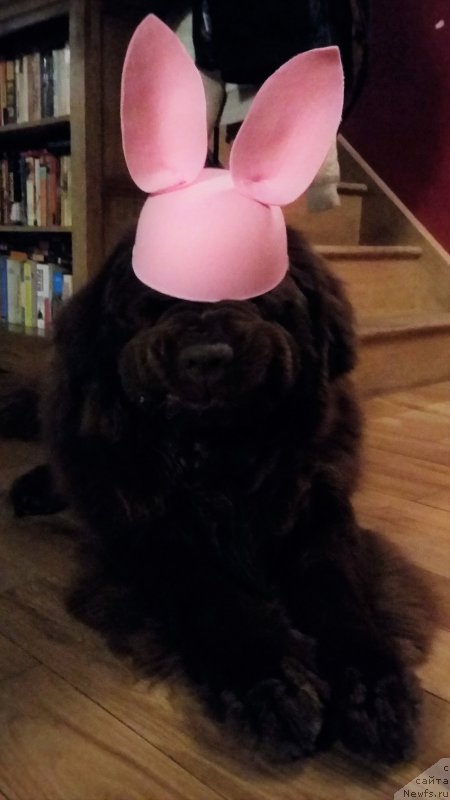 Фотография № 234535