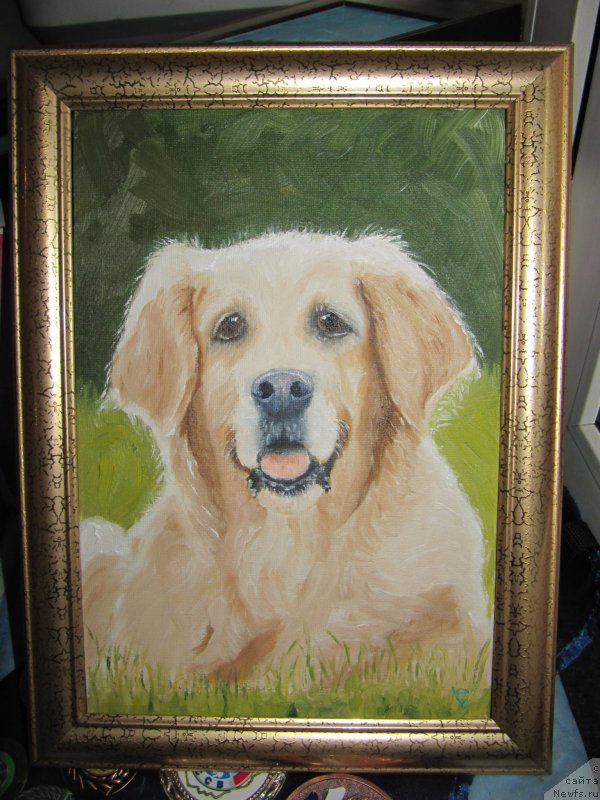 Фотография № 234550