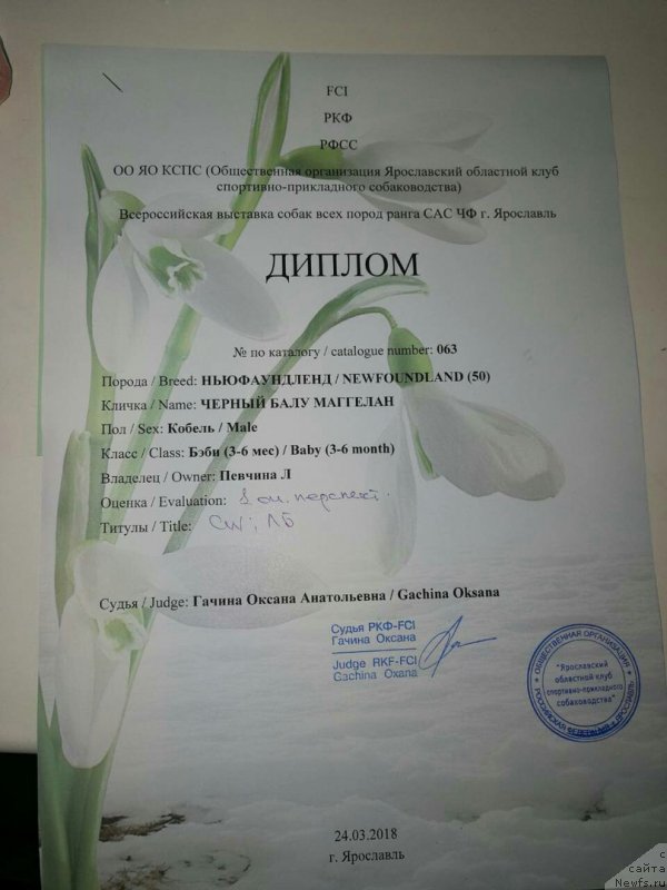 Фотография № 234590