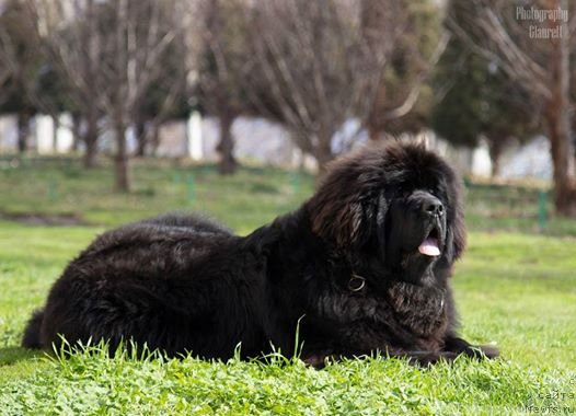 Фотография № 234602