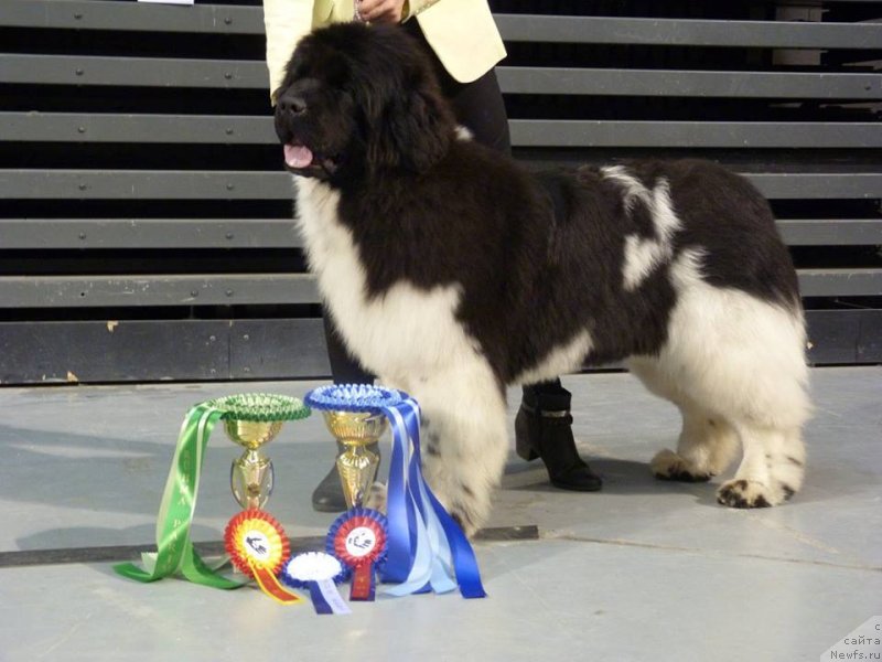 Фотография № 234618