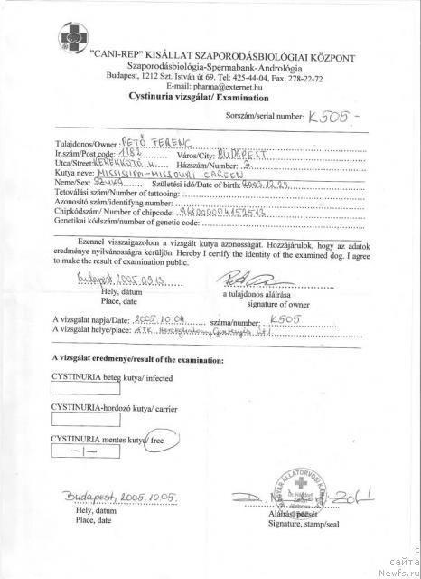 Фото: ньюфаундленд Mississippi-Missouri Careen