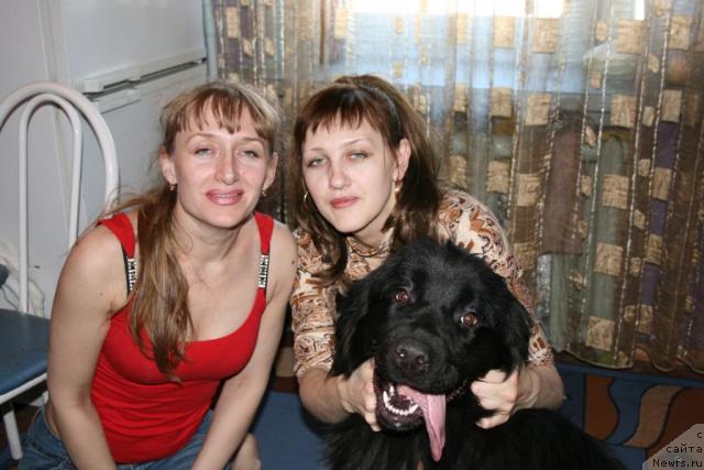 Фото: ньюфаундленд Прерия от Сибирского Медведя