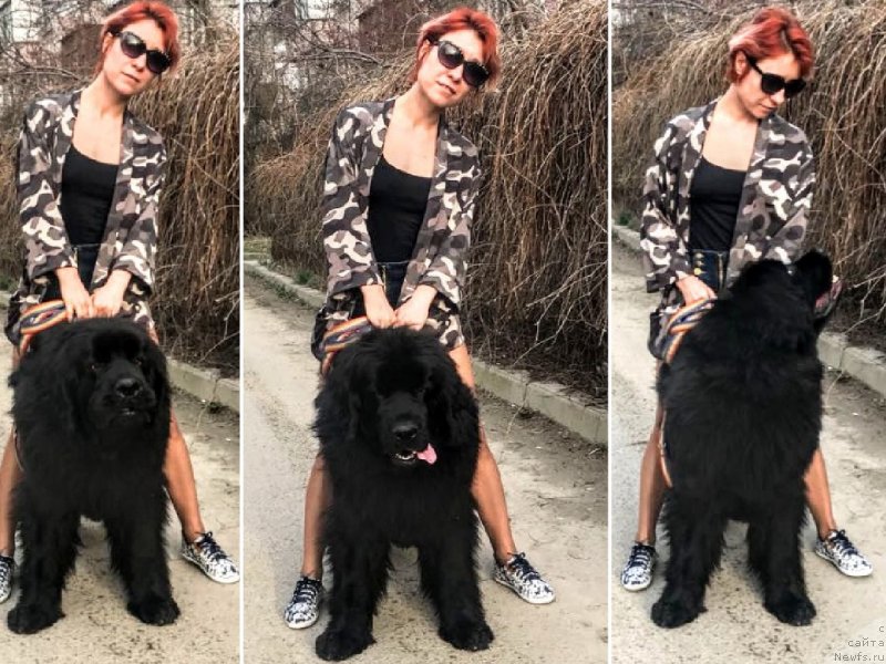 Фотография № 234647