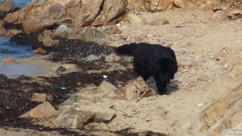 Фотография № 234661