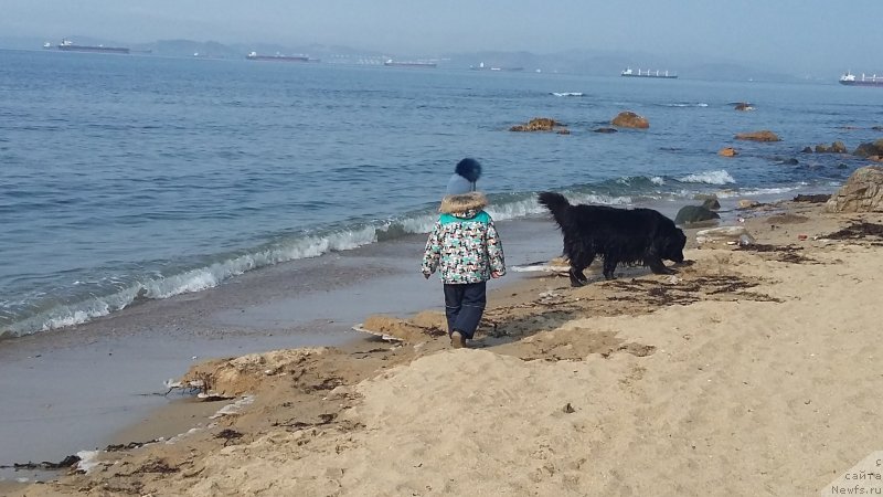 Фотография № 234663