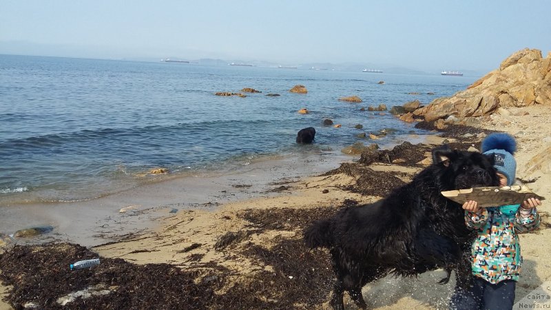 Фотография № 234666