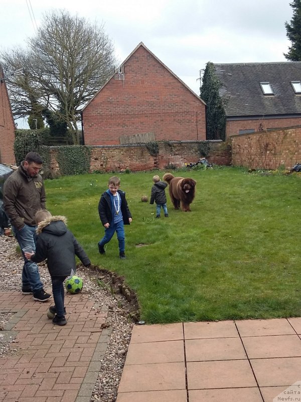 Фотография № 234672