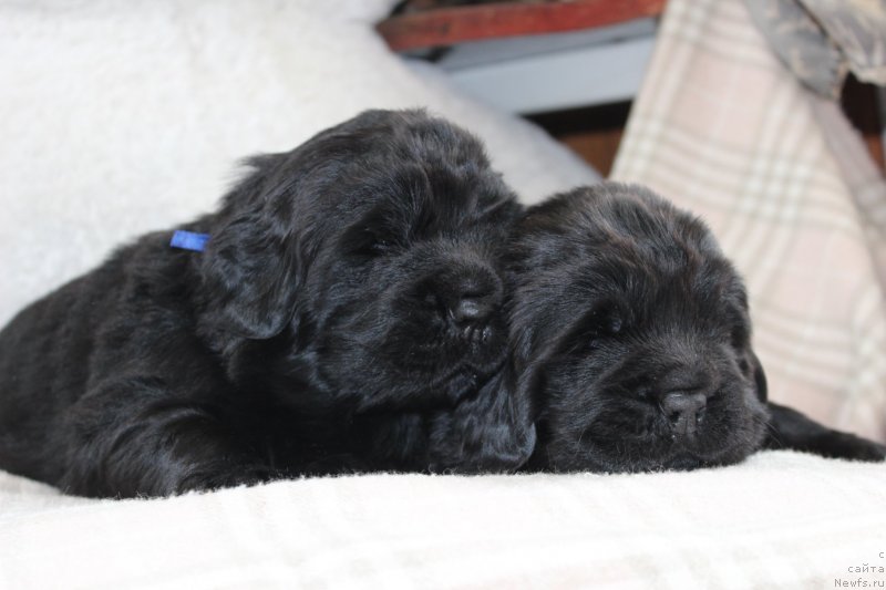 Фотография № 234684