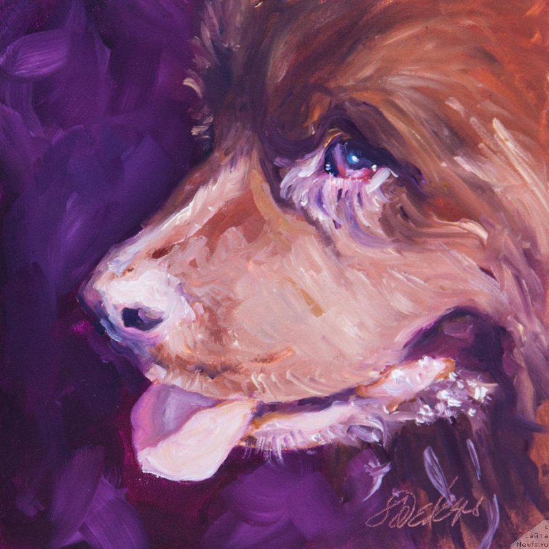 Фотография № 234695