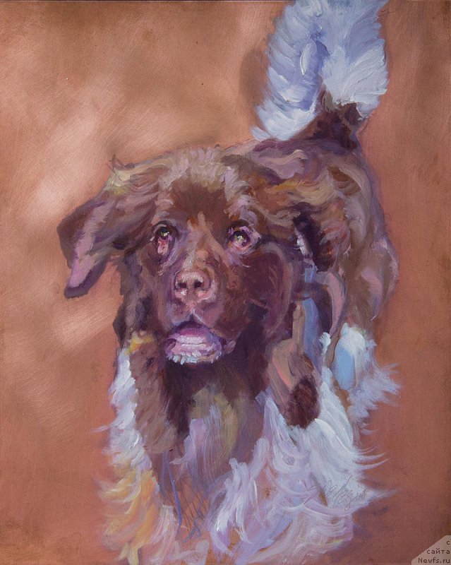 Фотография № 234696