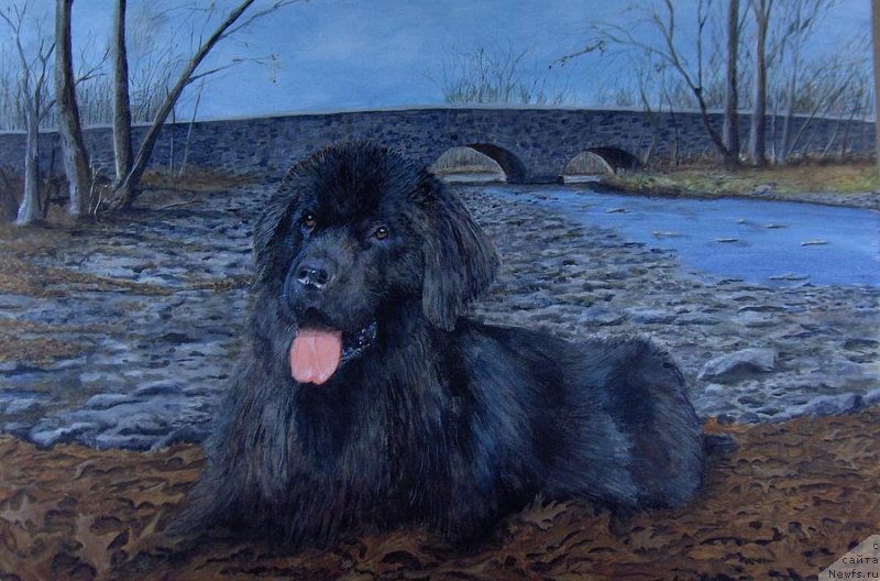 Фотография № 234698