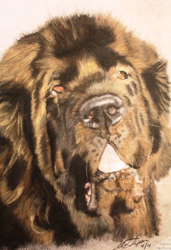 Фотография № 234699