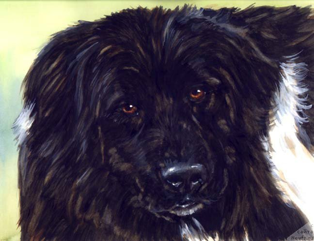 Фотография № 234701