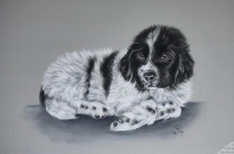 Фотография № 234704