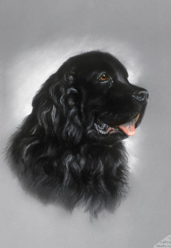 Фотография № 234705