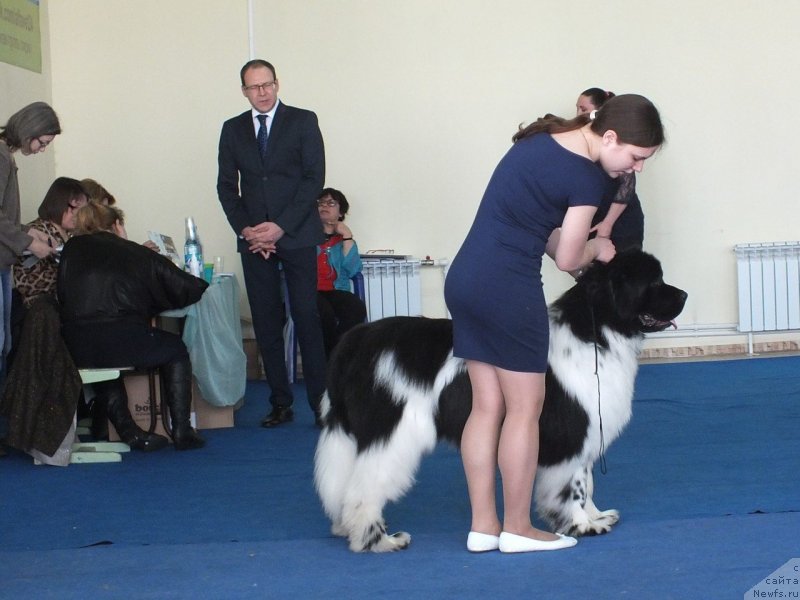 Фотография № 234709