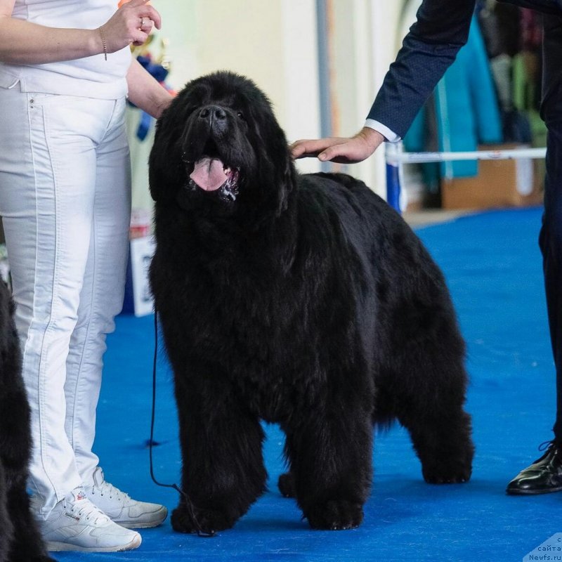 Фотография № 234713