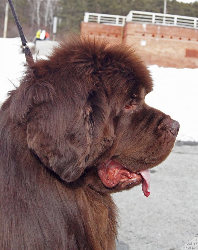 Фотография № 234718