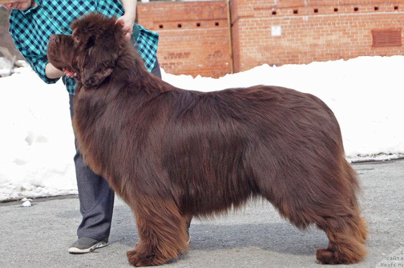 Фотография № 234721