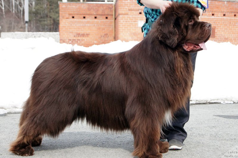 Фотография № 234722