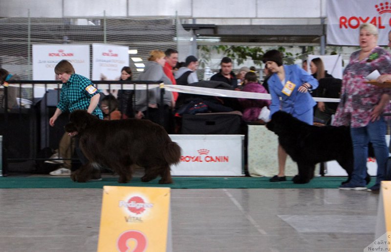 Фотография № 234724